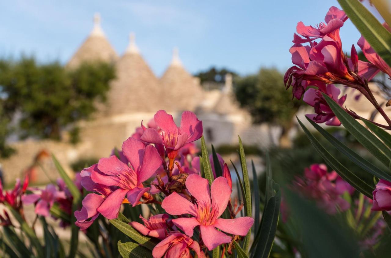 Trulli Angela Apartman Locorotondo Kültér fotó